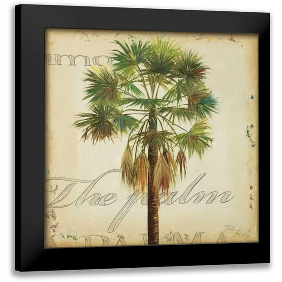 Pinto, Patricia 12x12 Black Modern Framed Museum Art Print Titled - La Palma IV