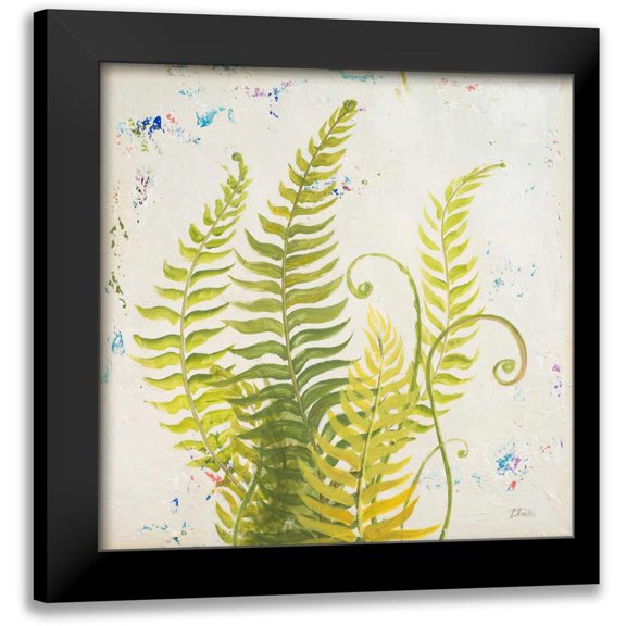 Pinto, Patricia 12x12 Black Modern Framed Museum Art Print Titled - Nice Ferns II