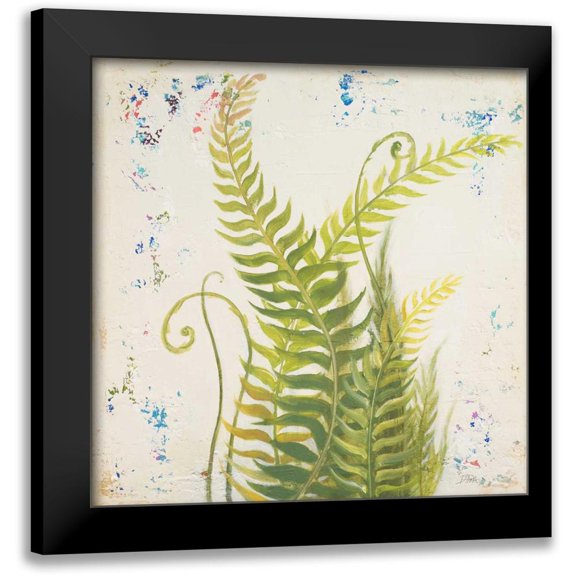 Pinto, Patricia 12x12 Black Modern Framed Museum Art Print Titled - Nice Ferns I