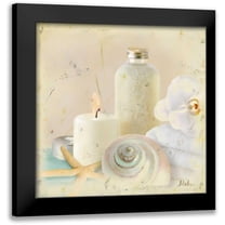 Pinto, Patricia 12x12 Black Modern Framed Museum Art Print Titled - Silver Bath I