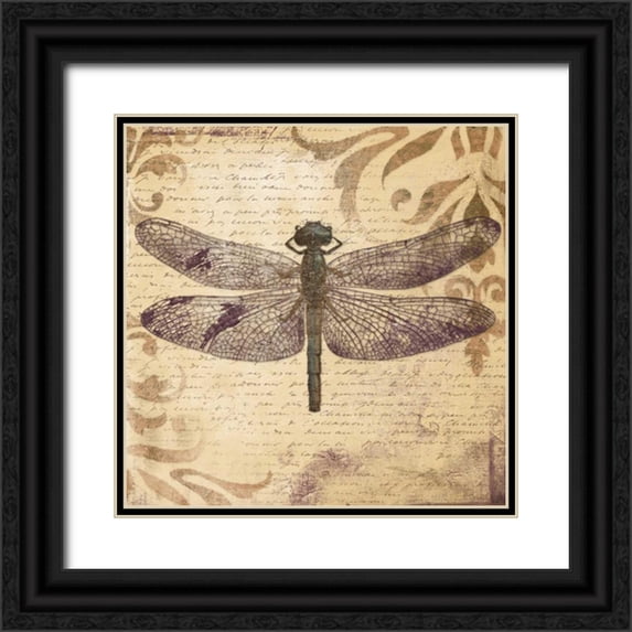 Pinto, Patricia 12x12 Black Ornate Wood Framed with Double Matting Museum Art Print Titled - Dragonfly