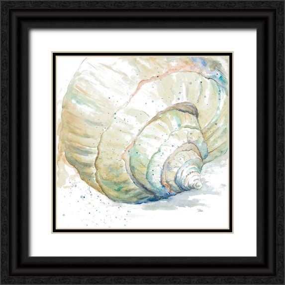 Pinto, Patricia 12x12 Black Ornate Wood Framed with Double Matting Museum Art Print Titled - Water Conch