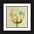 thumbnail image 1 of Pinto, Patricia 12x12 Black Ornate Wood Framed with Double Matting Museum Art Print Titled - White Double Tulips I, 1 of 4