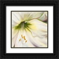 thumbnail image 1 of Pinto, Patricia 12x12 Black Ornate Wood Framed with Double Matting Museum Art Print Titled - White Lily II, 1 of 4
