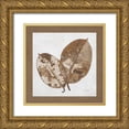 thumbnail image 1 of Pinto, Patricia 12x12 Gold Ornate Wood Framed with Double Matting Museum Art Print Titled - Beauty of Simplicity II, 1 of 4
