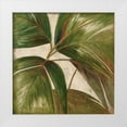 thumbnail image 1 of Pinto, Patricia 12x12 White Modern Wood Framed Museum Art Print Titled - La Palmera III, 1 of 4