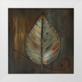 thumbnail image 1 of Pinto, Patricia 12x12 White Modern Wood Framed Museum Art Print Titled - New Leaf VI, 1 of 4