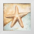 thumbnail image 1 of Pinto, Patricia 12x12 White Modern Wood Framed Museum Art Print Titled - Seashell Collection II, 1 of 4