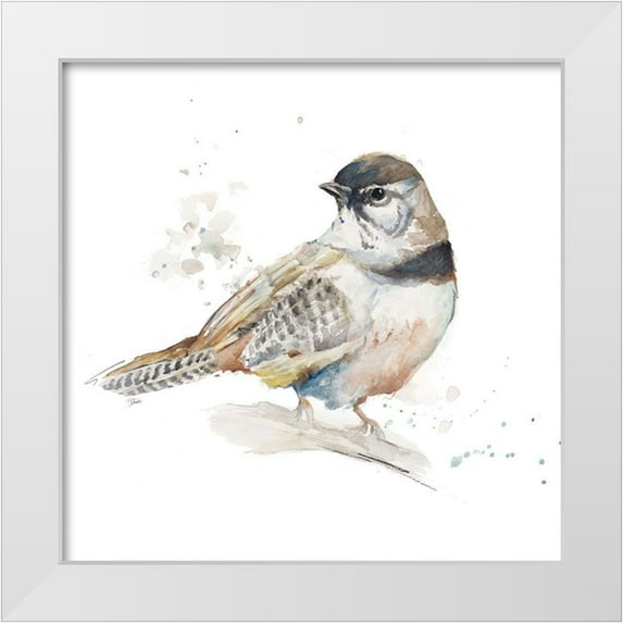 Pinto, Patricia 12x12 White Modern Wood Framed Museum Art Print Titled - Watercolor Mountain Bird III