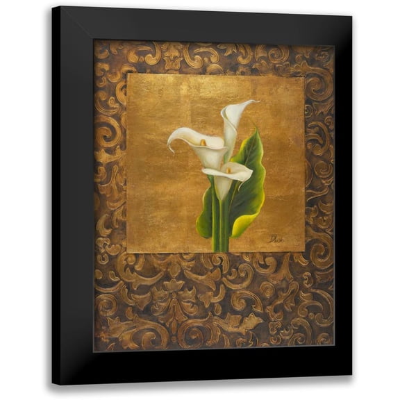 Pinto, Patricia 12x14 Black Modern Framed Museum Art Print Titled - Calla Lily with Arabesque I