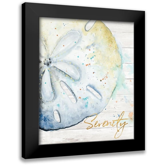 Pinto, Patricia 12x14 Black Modern Framed Museum Art Print Titled - Serenity