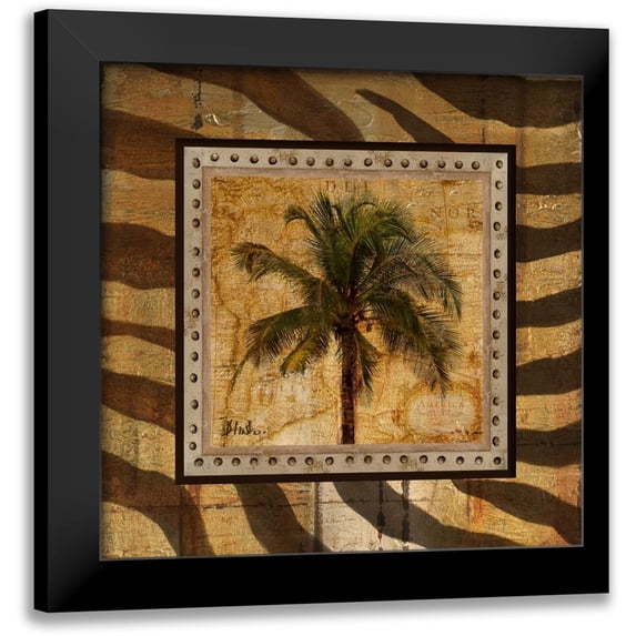 Pinto, Patricia 15x15 Black Modern Framed Museum Art Print Titled - Gold America I