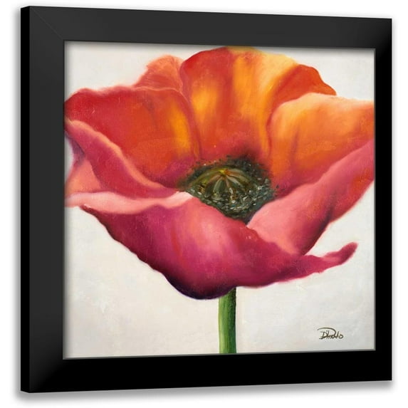 Pinto, Patricia 15x15 Black Modern Framed Museum Art Print Titled - Poppy Flower I