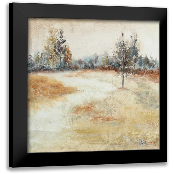 Pinto, Patricia 15x15 Black Modern Framed Museum Art Print Titled - Quiet Forest I