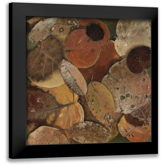Pinto, Patricia 15x15 Black Modern Framed Museum Art Print Titled - Scattered Leaves I