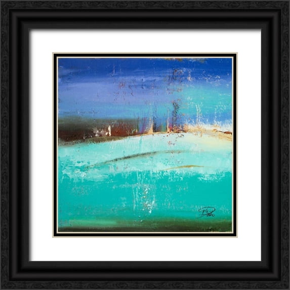 Pinto, Patricia 15x15 Black Ornate Wood Framed with Double Matting Museum Art Print Titled - Aquamarina I