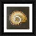 thumbnail image 1 of Pinto, Patricia 15x15 Black Ornate Wood Framed with Double Matting Museum Art Print Titled - Seashell I, 1 of 4