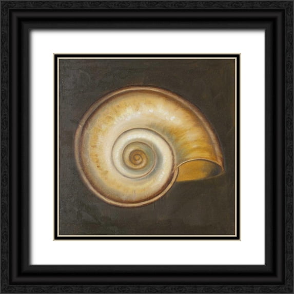 Pinto, Patricia 15x15 Black Ornate Wood Framed with Double Matting Museum Art Print Titled - Seashell I