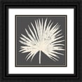 thumbnail image 1 of Pinto, Patricia 15x15 Black Ornate Wood Framed with Double Matting Museum Art Print Titled - Sophisticated Palm Leaf I, 1 of 4
