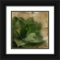 thumbnail image 1 of Pinto, Patricia 15x15 Black Ornate Wood Framed with Double Matting Museum Art Print Titled - Succulent II, 1 of 4