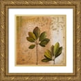 thumbnail image 1 of Pinto, Patricia 15x15 Gold Ornate Wood Framed with Double Matting Museum Art Print Titled - Botanica II, 1 of 4