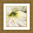 thumbnail image 1 of Pinto, Patricia 15x15 Gold Ornate Wood Framed with Double Matting Museum Art Print Titled - White Lily II, 1 of 4