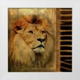 thumbnail image 1 of Pinto, Patricia 15x15 White Modern Wood Framed Museum Art Print Titled - Elegant Safari IV  - Lion, 1 of 4