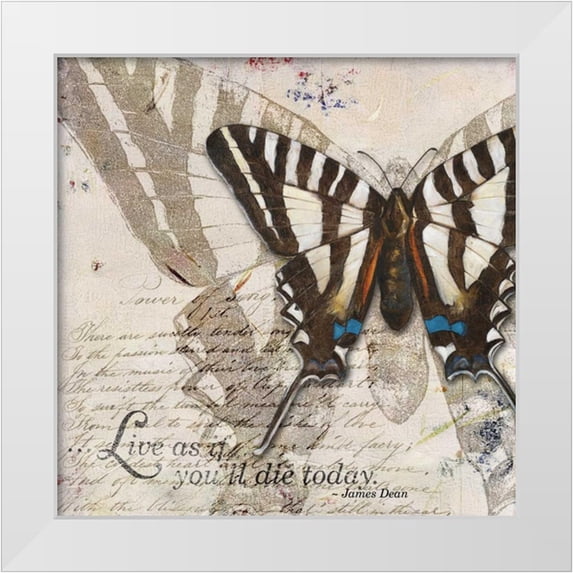Pinto, Patricia 15x15 White Modern Wood Framed Museum Art Print Titled - Living your Dreams II