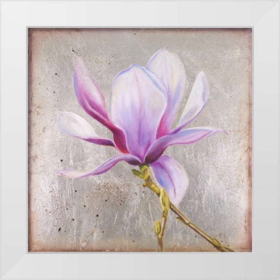 Pinto, Patricia 15x15 White Modern Wood Framed Museum Art Print Titled - Magnolia on Silver Leaf II