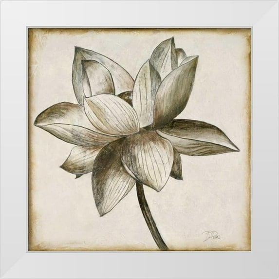 Pinto, Patricia 15x15 White Modern Wood Framed Museum Art Print Titled - Sepia Lotus I