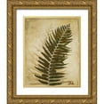 thumbnail image 1 of Pinto, Patricia 15x18 Gold Ornate Wood Framed with Double Matting Museum Art Print Titled - Ferns II, 1 of 4
