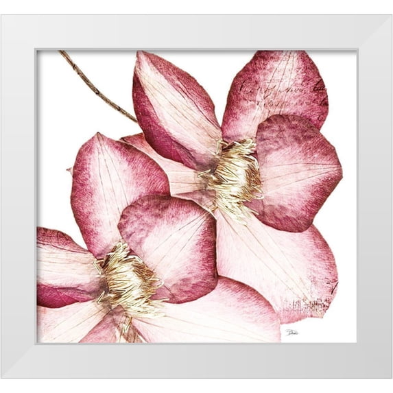 Pinto, Patricia 16x15 White Modern Wood Framed Museum Art Print Titled - Rouge Plum Flowers II