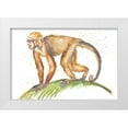 thumbnail image 1 of Pinto, Patricia 18x13 White Modern Wood Framed Museum Art Print Titled - Monkeys in the Jungle II, 1 of 4