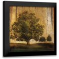 thumbnail image 1 of Pinto, Patricia 20x20 Black Modern Framed Museum Art Print Titled - Aged Tree II, 1 of 5
