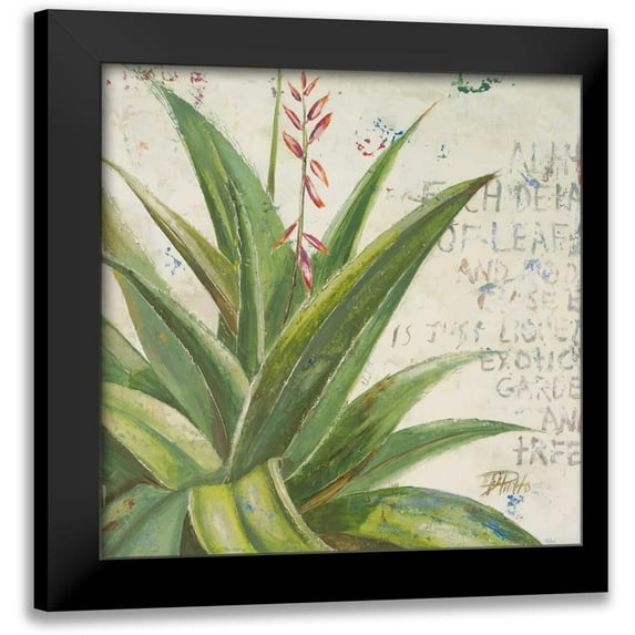 Pinto, Patricia 20x20 Black Modern Framed Museum Art Print Titled - Aloe II