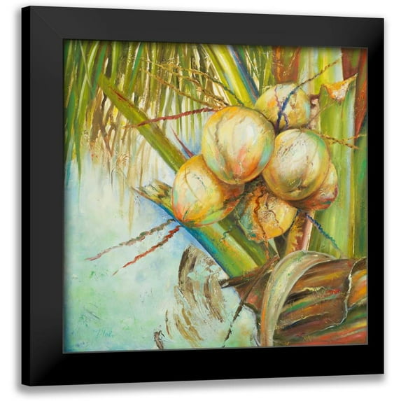 Pinto, Patricia 20x20 Black Modern Framed Museum Art Print Titled - Patricias Coconuts II