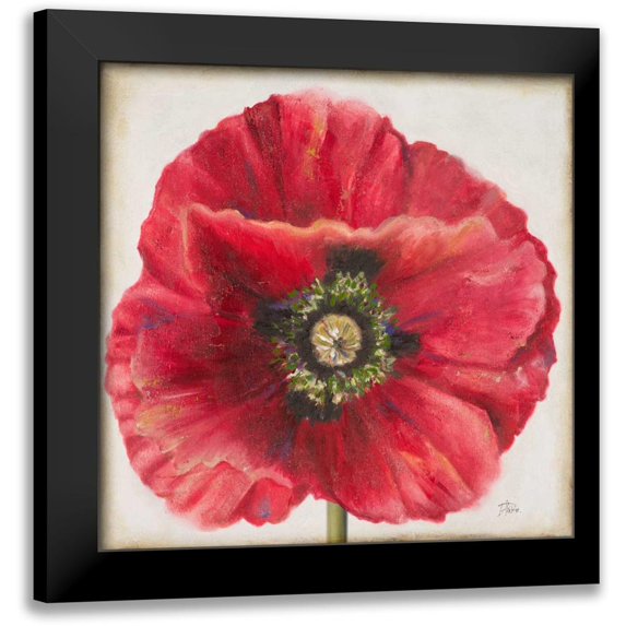 Pinto, Patricia 20x20 Black Modern Framed Museum Art Print Titled - Red Poppy