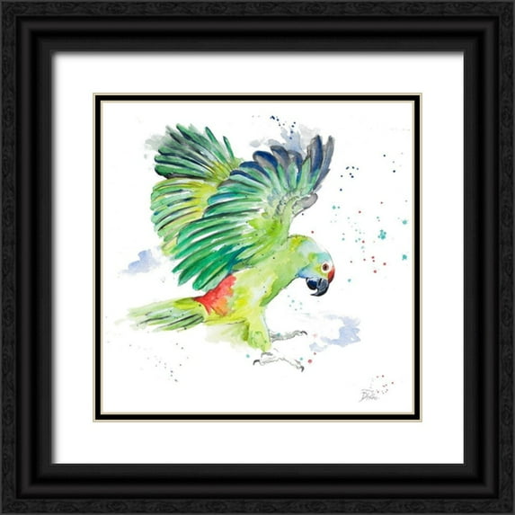 Pinto, Patricia 20x20 Black Ornate Wood Framed with Double Matting Museum Art Print Titled - Amazon Parrot I