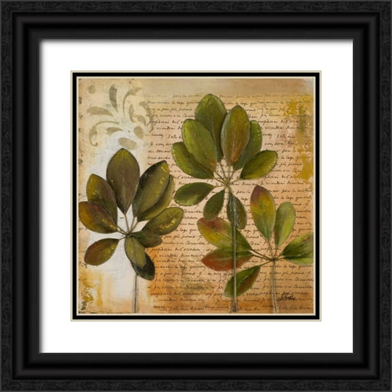 Pinto, Patricia 20x20 Black Ornate Wood Framed with Double Matting Museum Art Print Titled - Botanica I