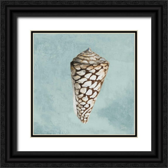 Pinto, Patricia 20x20 Black Ornate Wood Framed with Double Matting Museum Art Print Titled - Modern Shell on Teal II