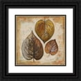 thumbnail image 1 of Pinto, Patricia 20x20 Black Ornate Wood Framed with Double Matting Museum Art Print Titled - Natural Leaves II, 1 of 4