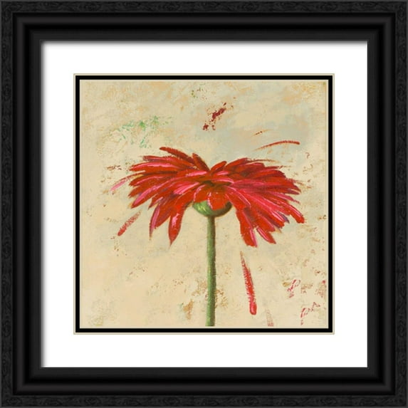 Pinto, Patricia 20x20 Black Ornate Wood Framed with Double Matting Museum Art Print Titled - Tiny Flower Square II