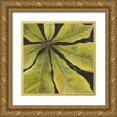 thumbnail image 1 of Pinto, Patricia 20x20 Gold Ornate Wood Framed with Double Matting Museum Art Print Titled - Evergreen II, 1 of 4
