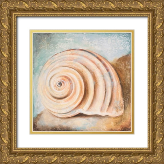 Pinto, Patricia 20x20 Gold Ornate Wood Framed with Double Matting Museum Art Print Titled - Seashell Collection IV