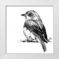 thumbnail image 1 of Pinto, Patricia 20x20 White Modern Wood Framed Museum Art Print Titled - Black And White Baby Bird II, 1 of 4