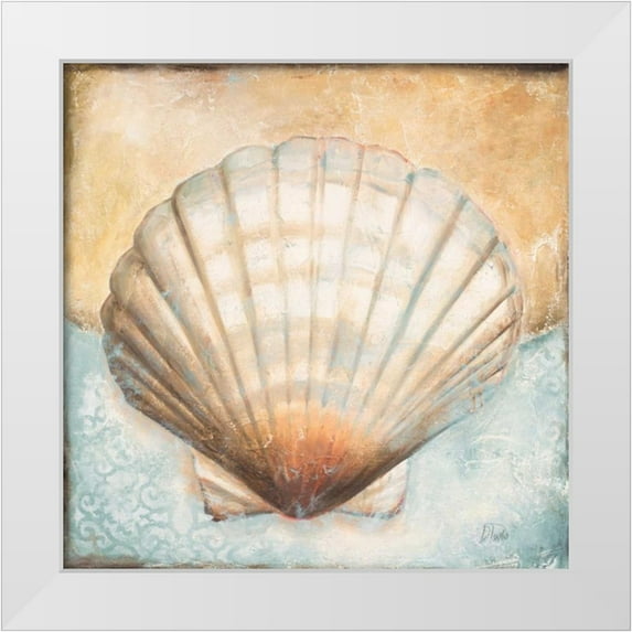 Pinto, Patricia 20x20 White Modern Wood Framed Museum Art Print Titled - Seashell Collection III