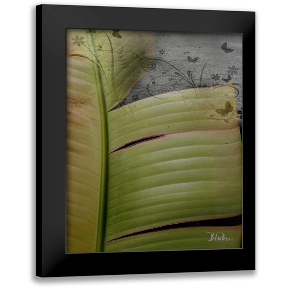 Pinto, Patricia 20x24 Black Modern Framed Museum Art Print Titled - Butterfly Palm II