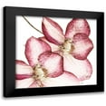 thumbnail image 1 of Pinto, Patricia 22x20 Black Modern Framed Museum Art Print Titled - Rouge Plum Flowers II, 1 of 5