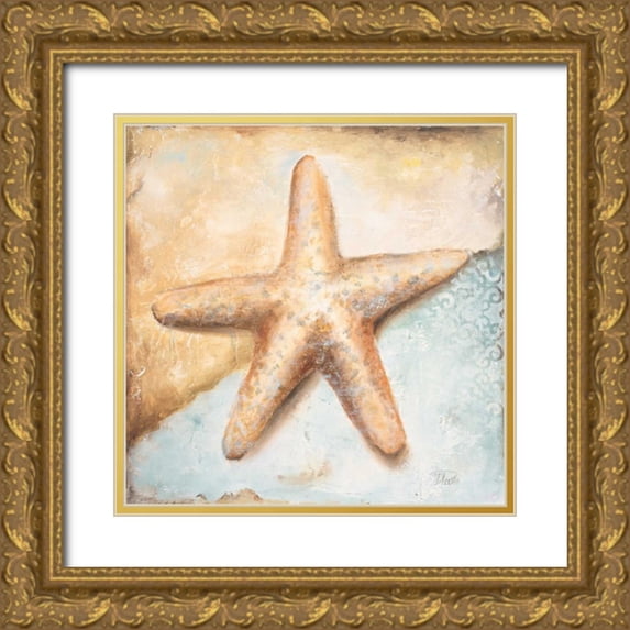 Pinto, Patricia 26x26 Gold Ornate Wood Framed with Double Matting Museum Art Print Titled - Seashell Collection II