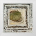 thumbnail image 1 of Pinto, Patricia 26x26 White Modern Wood Framed Museum Art Print Titled - Flowers and Leaves Square II, 1 of 4